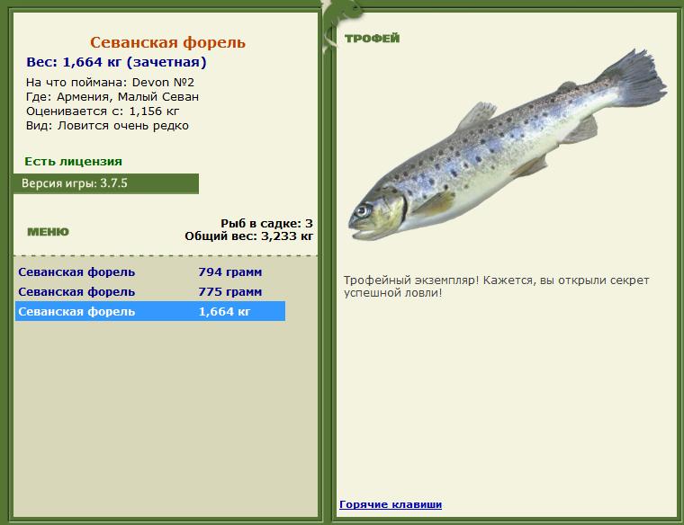Македонская форель 