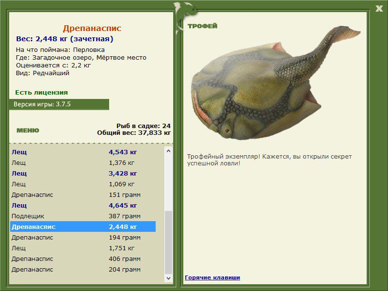 Мёртвое место 