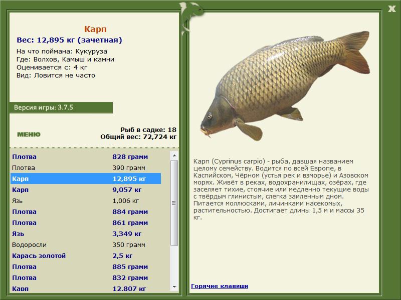 РУССКАЯ РЫБАЛКА Installsoft Edition 