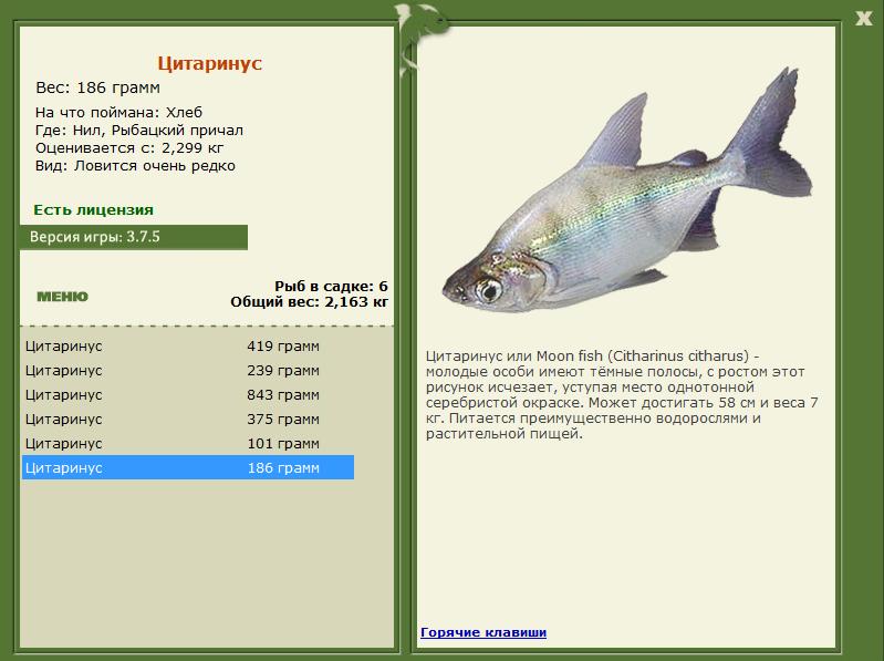 РУССКАЯ РЫБАЛКА Installsoft Edition 