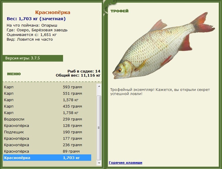 Берёзовая заводь 