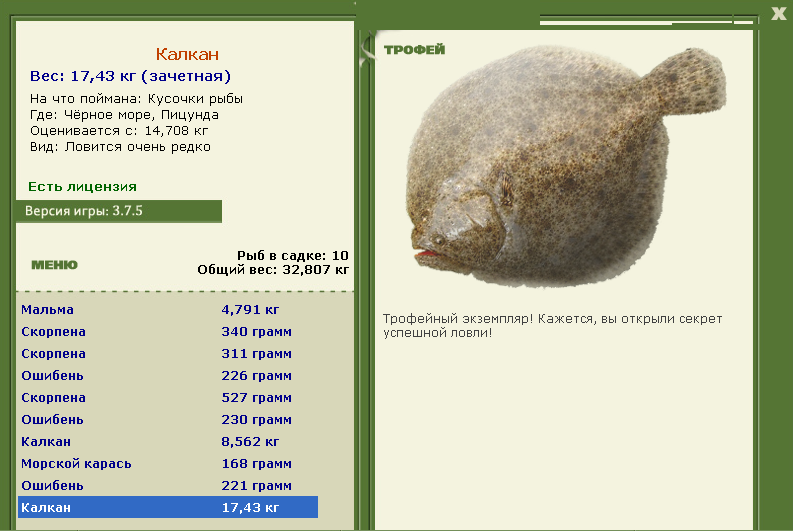 Калкан 