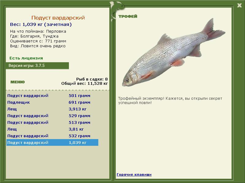 турниры • РУССКАЯ РЫБАЛКА