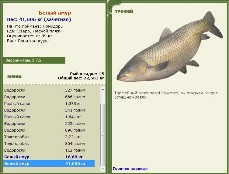 Белый амур 