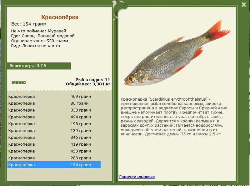 РУССКАЯ РЫБАЛКА Installsoft Edition 