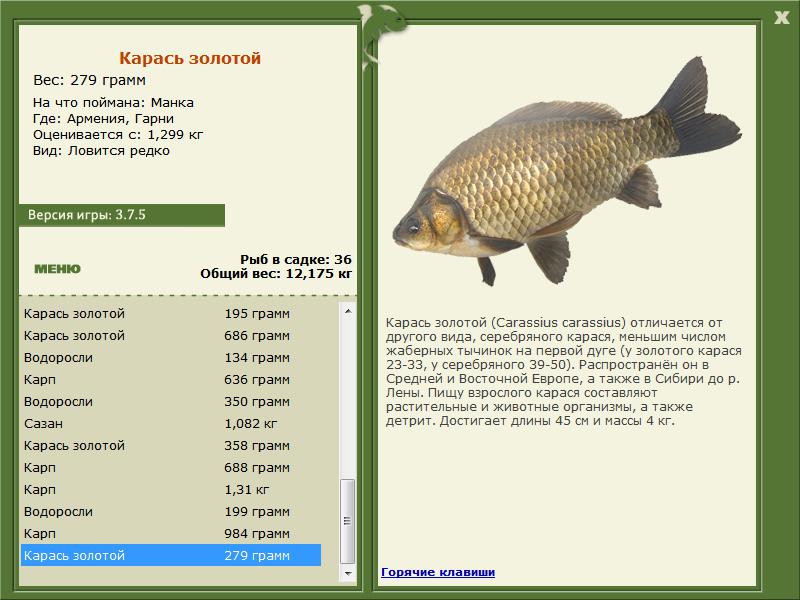 РУССКАЯ РЫБАЛКА Installsoft Edition 