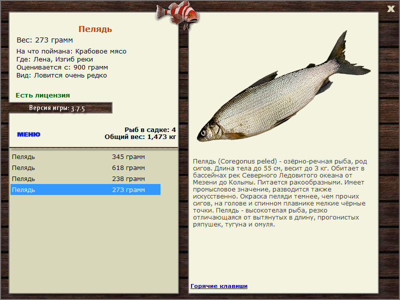 Изгиб реки 