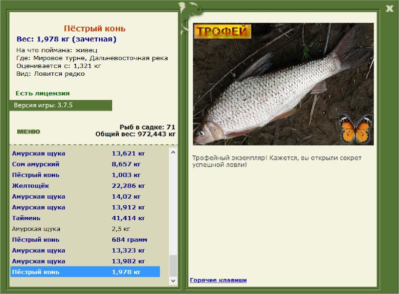 РУССКАЯ РЫБАЛКА Installsoft Edition 