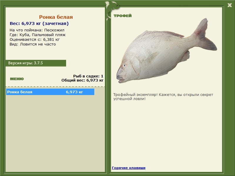 Ронка белая 
