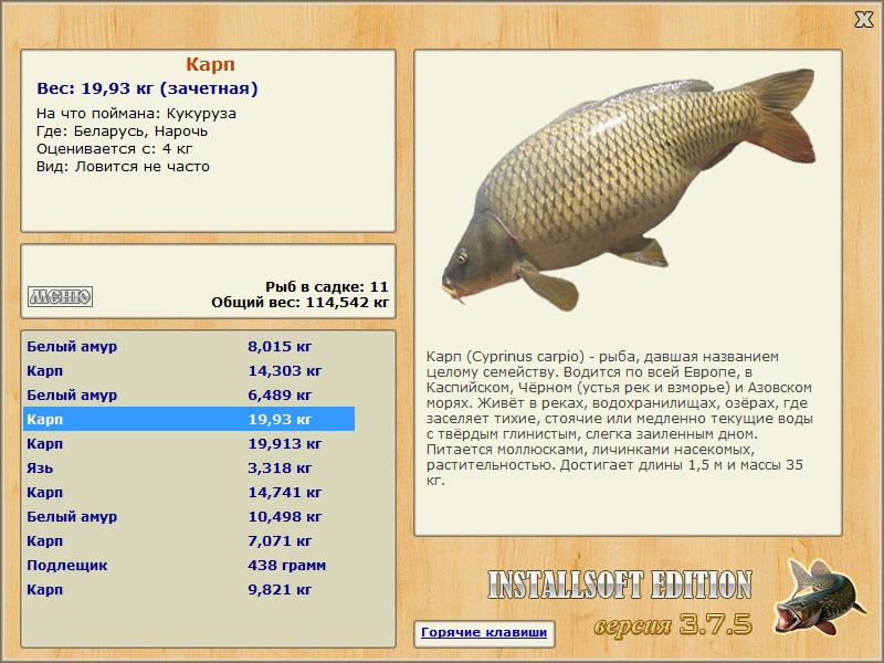 Нарочь 
