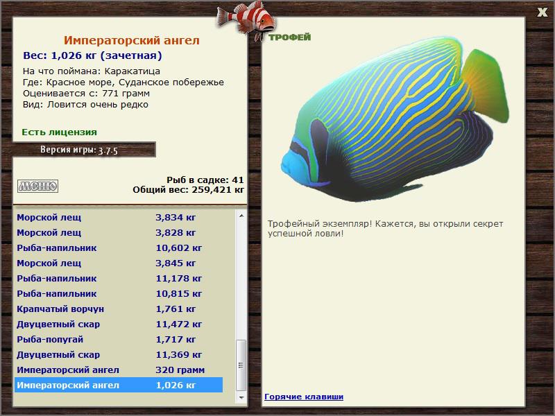 Императорский ангел 