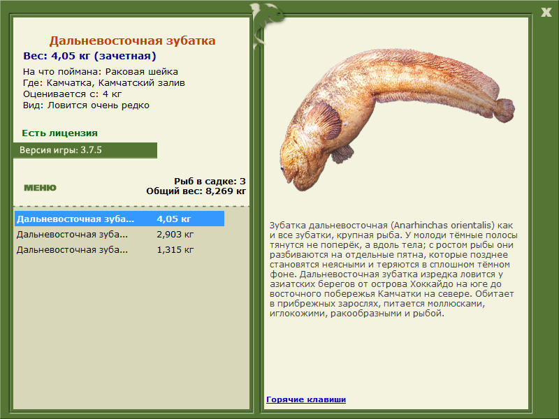 Камчатский залив 