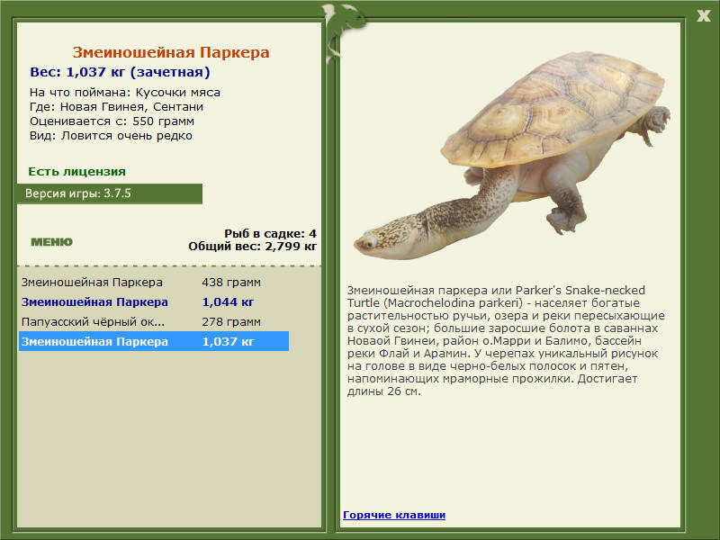 Сентани 