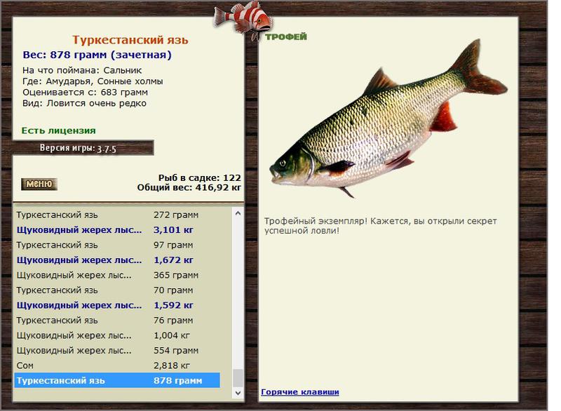 турниры • РУССКАЯ РЫБАЛКА