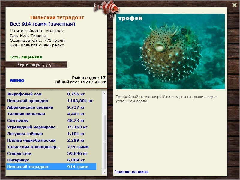 Тишина 