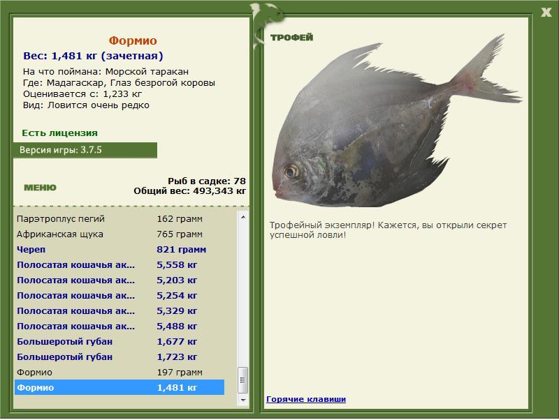 Глаз безрогой коровы 