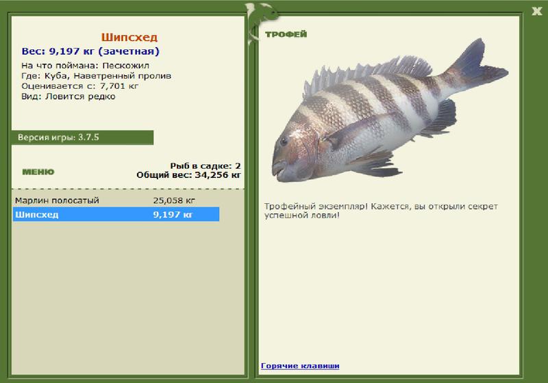 Шипcхед 