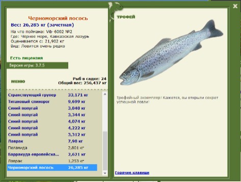 Черноморский лосось 