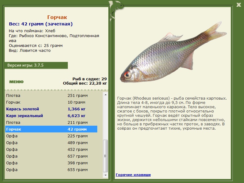 Подтопленная ива 