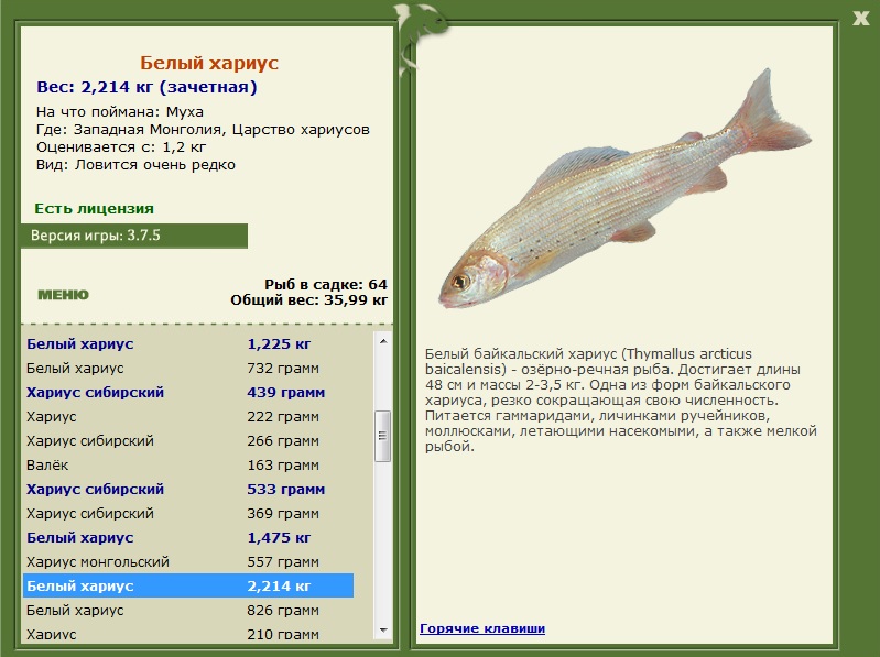 Царство хариусов 