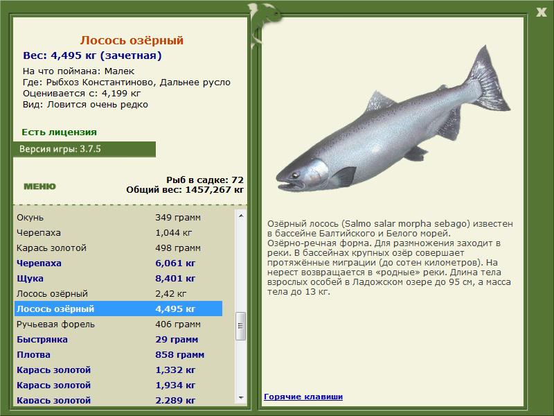 РУССКАЯ РЫБАЛКА Installsoft Edition 