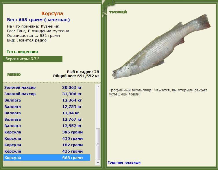турниры • РУССКАЯ РЫБАЛКА
