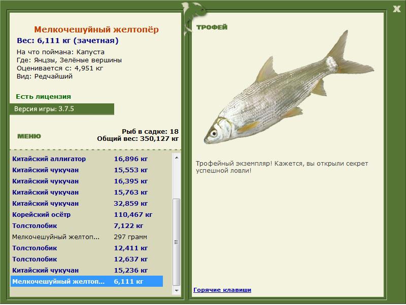 Зелёные вершины 