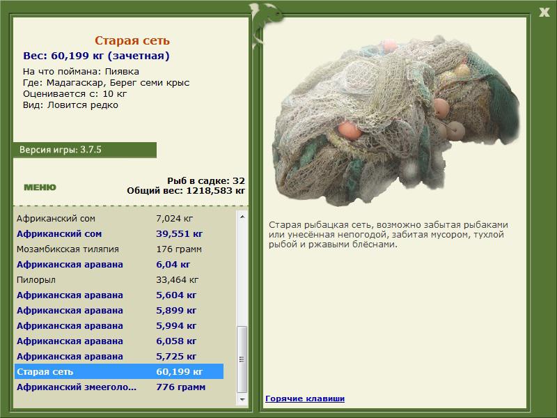 Старая сеть 