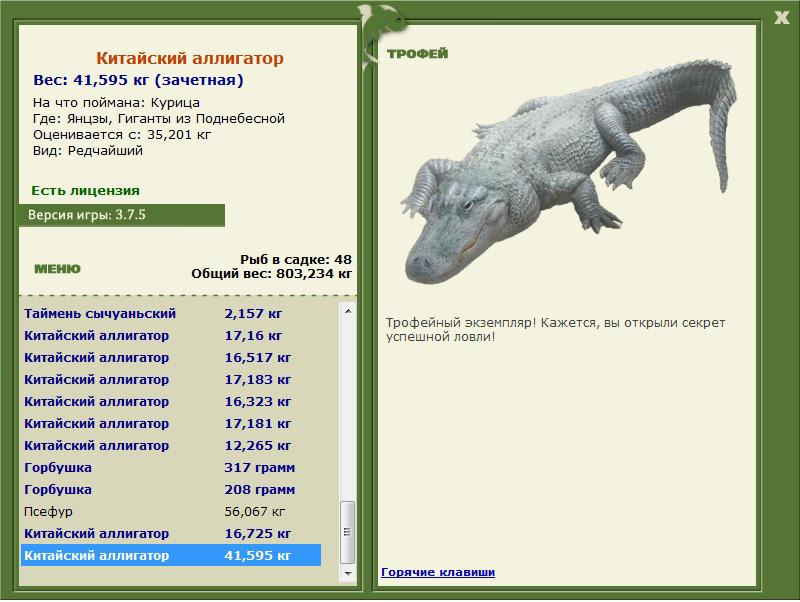 Китайский аллигатор 