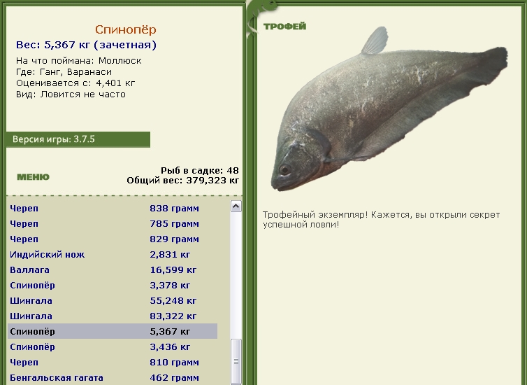 Спинопёр 