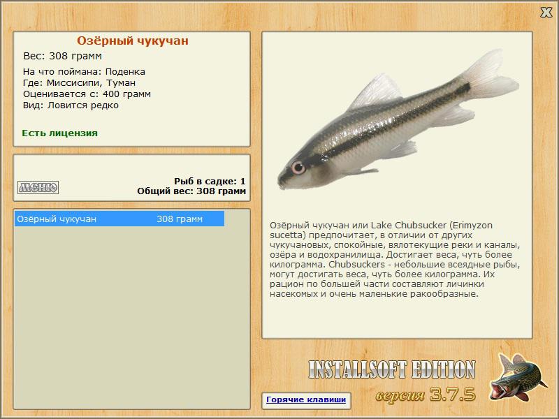 Туман 