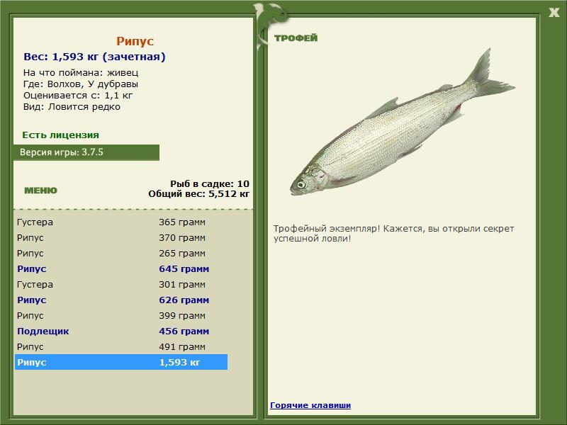 турниры • РУССКАЯ РЫБАЛКА