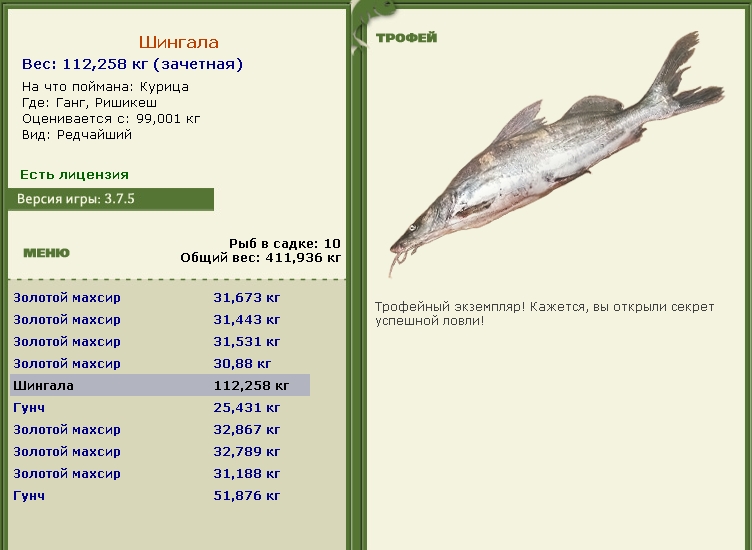 Шингала 