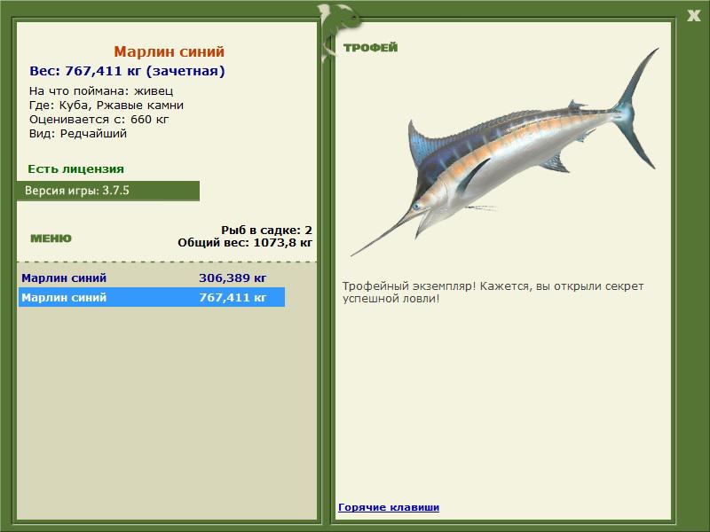 Марлин синий 