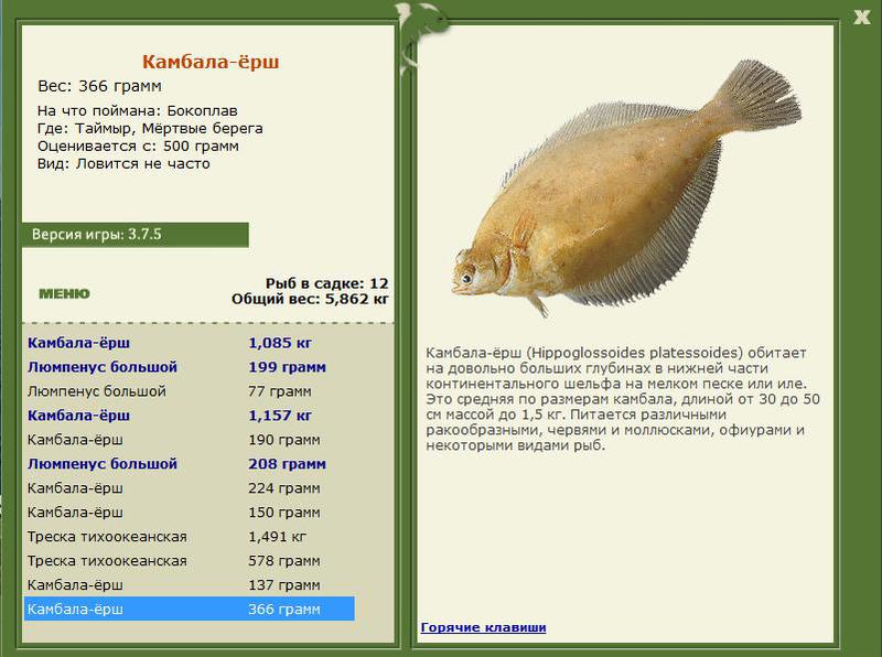 РУССКАЯ РЫБАЛКА Installsoft Edition 