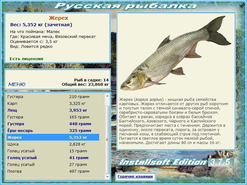 Красивая меча 
