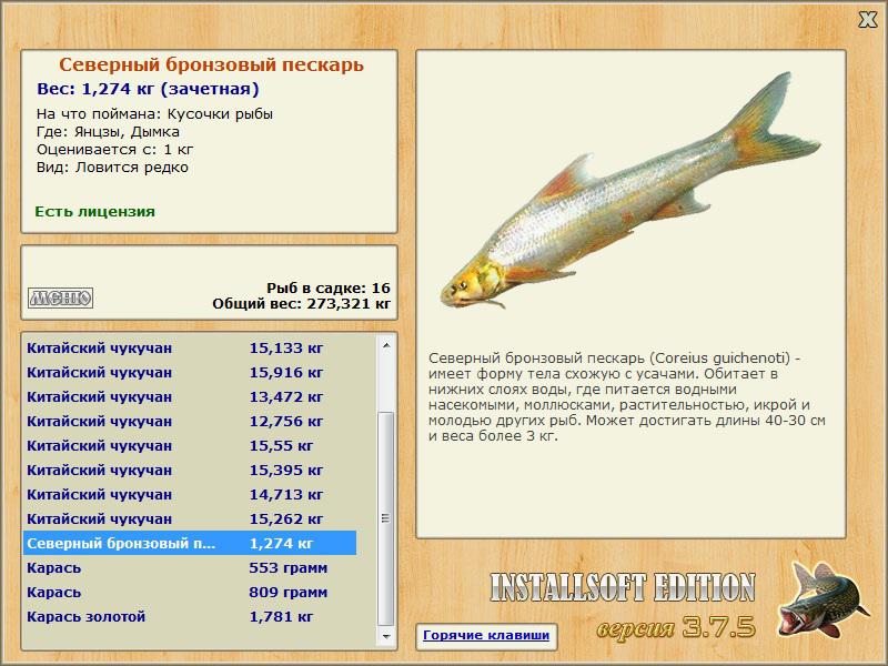 Янцзы 