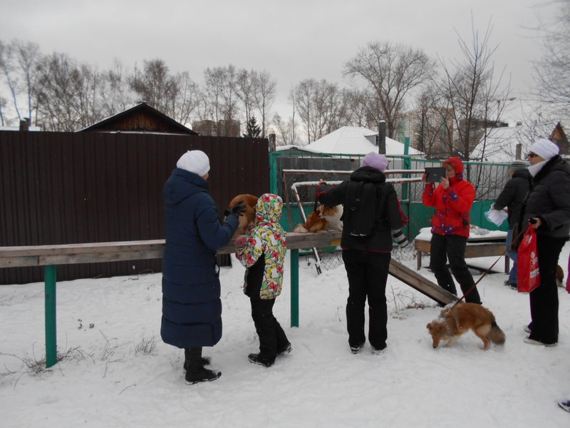  Клуб Служебного Собаководства [Екатеринбург]