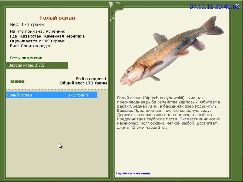 РУССКАЯ РЫБАЛКА Installsoft Edition 