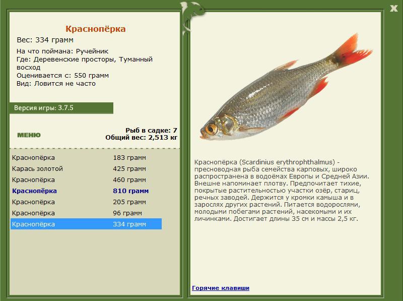 РУССКАЯ РЫБАЛКА Installsoft Edition 
