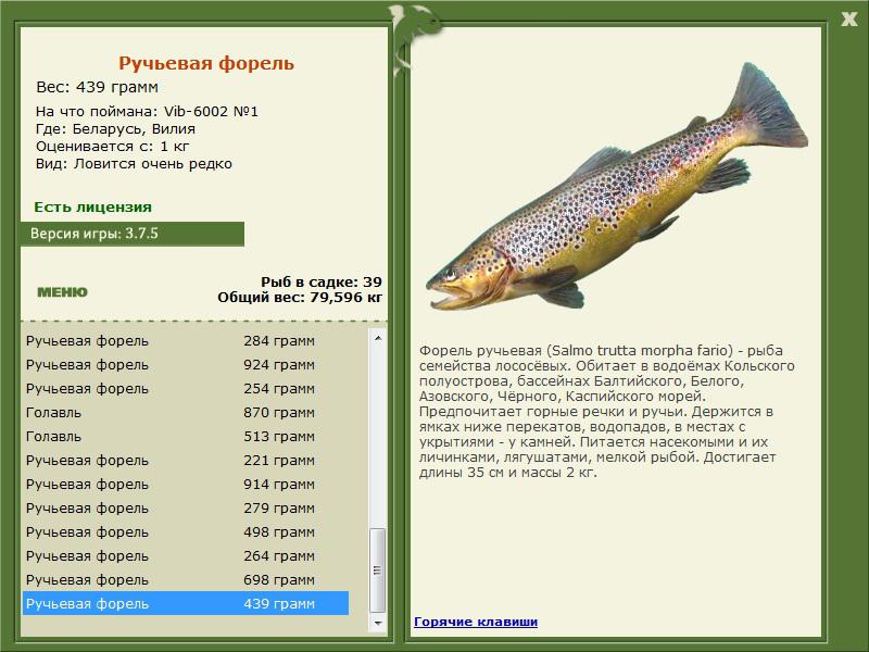 турниры • РУССКАЯ РЫБАЛКА