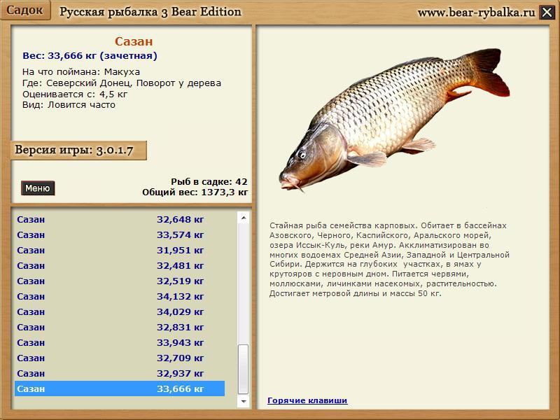 Реальная рыбалка на что ловить сазана