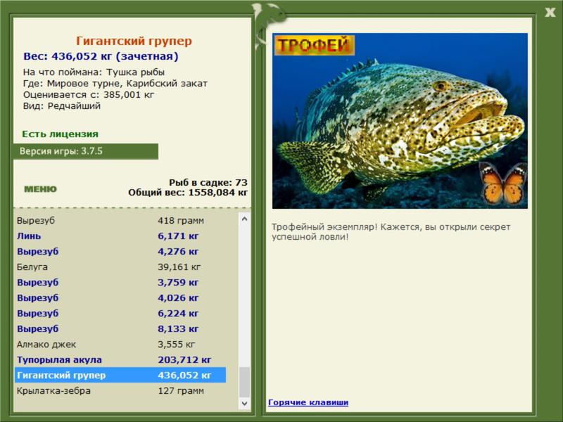 РУССКАЯ РЫБАЛКА Installsoft Edition 