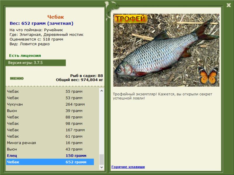 Реальная рыбалка чебак на что ловить