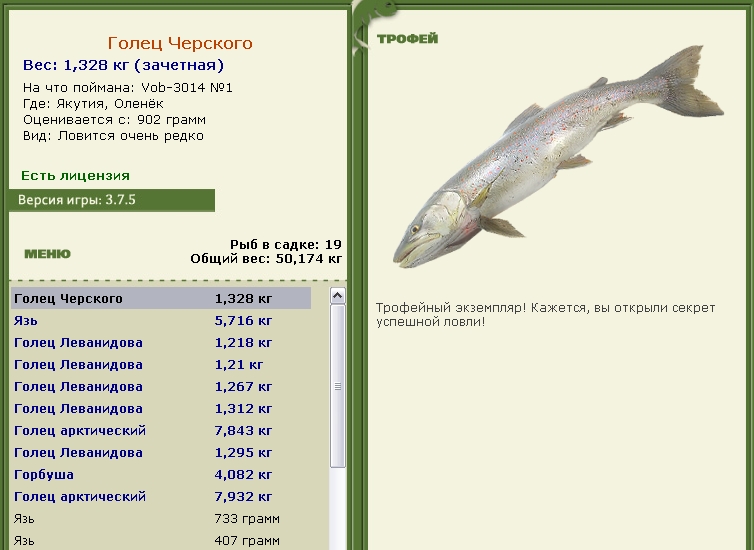 Голец Черского 