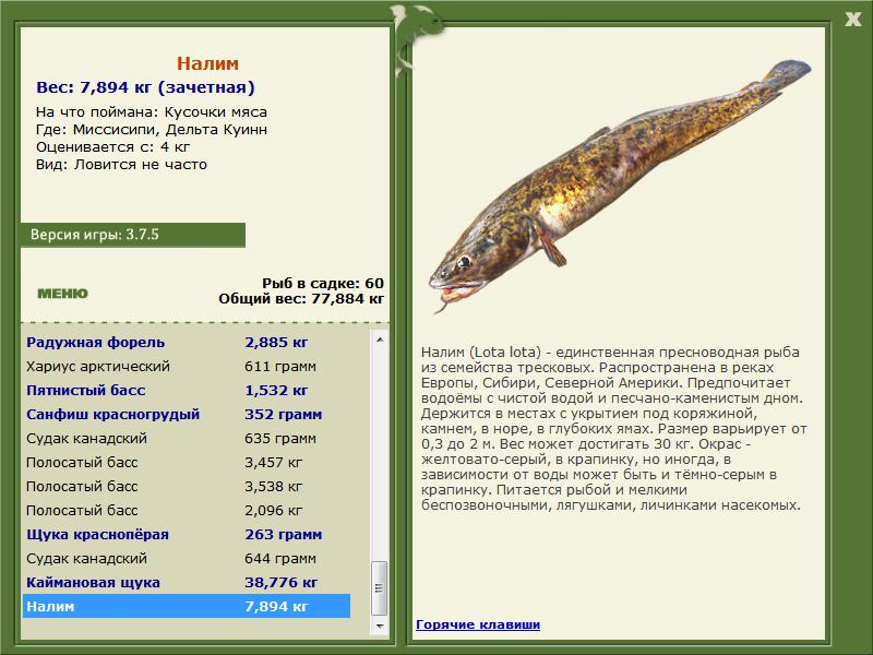 РУССКАЯ РЫБАЛКА Installsoft Edition 