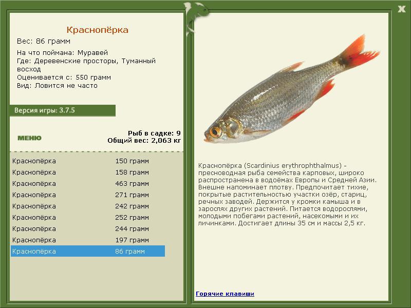турниры • РУССКАЯ РЫБАЛКА