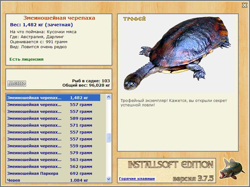 Дарлинг 