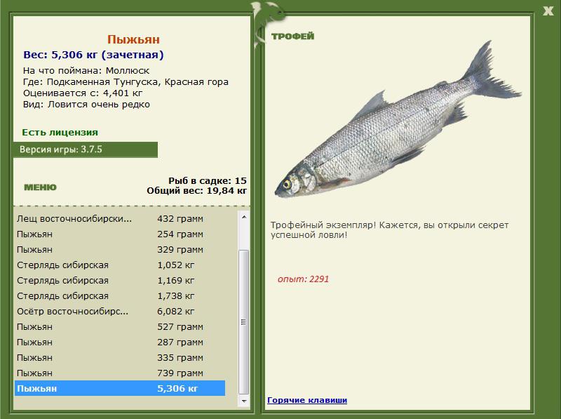 Красная гора 