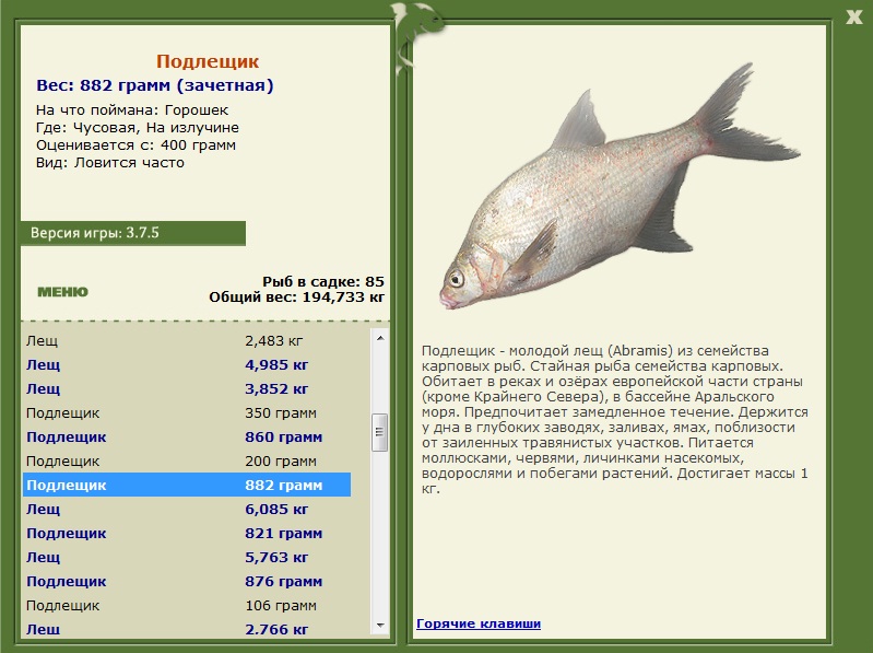 На излучине 